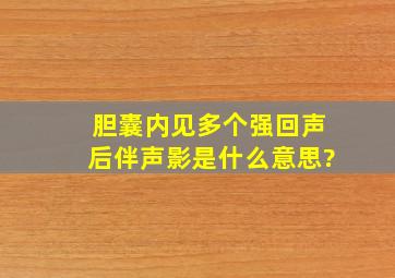 胆囊内见多个强回声,后伴声影是什么意思?