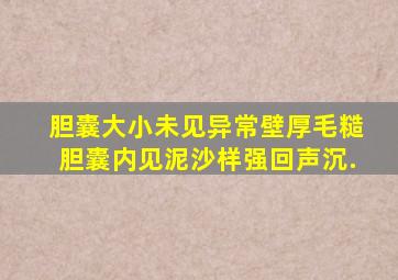 胆囊大小未见异常,壁厚毛糙,胆囊内见泥沙样强回声沉.