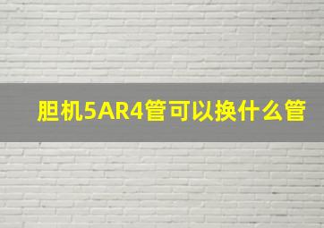 胆机5AR4管可以换什么管