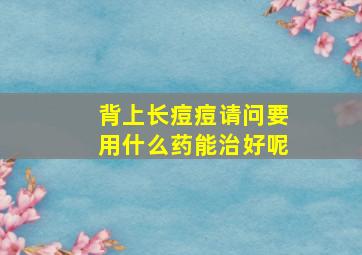 背上长痘痘请问要用什么药能治好呢(