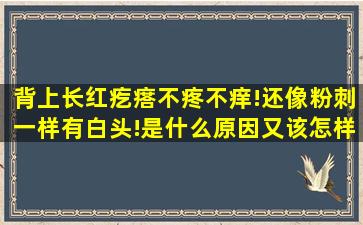 背上长红疙瘩,不疼不痒!还像粉刺一样有白头!是什么原因,又该怎样治最...