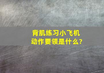 背肌练习《小飞机》动作要领是什么?