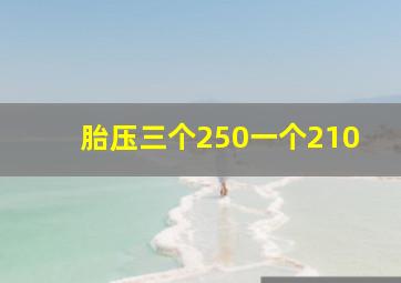 胎压三个250一个210