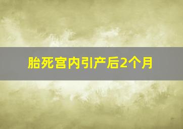 胎死宫内引产后2个月