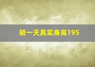 胡一天真实身高195