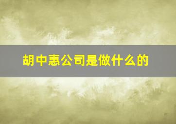 胡中惠公司是做什么的