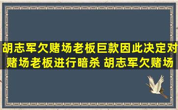 胡志军欠赌场老板巨款,因此决定对赌场老板进行暗杀 胡志军欠赌场...