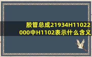 胶管总成21934H11022000中H1102表示什么含义(