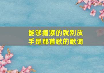 能够握紧的就别放手是那首歌的歌词