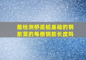 能检测桥梁桩基础的钢筋笼的每根钢筋长度吗