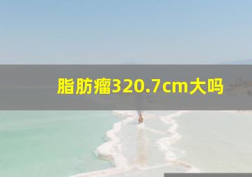 脂肪瘤3,20.7cm大吗