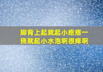 脚背上起就起小疙瘩,一挠就起小水泡啊,很痒啊