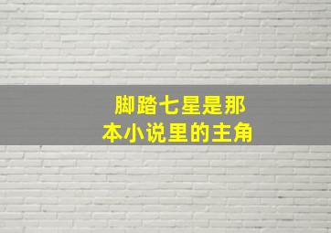 脚踏七星是那本小说里的主角(