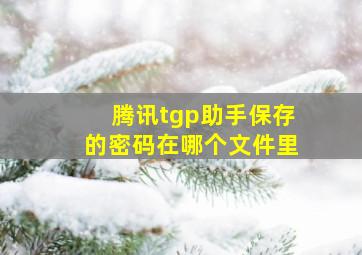 腾讯tgp助手保存的密码在哪个文件里