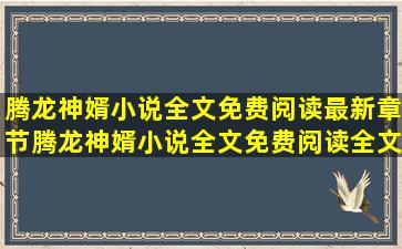 腾龙神婿小说全文免费阅读最新章节,腾龙神婿小说全文免费阅读全文...