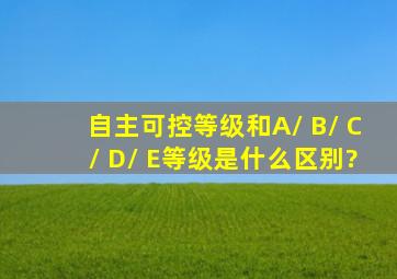 自主可控等级和A/ B/ C/ D/ E等级是什么区别?