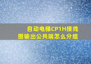 自动电梯CP1H接线图输出公共端怎么分组