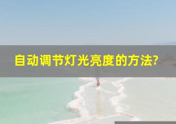 自动调节灯光亮度的方法?