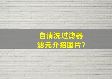 自清洗过滤器滤元介绍图片?