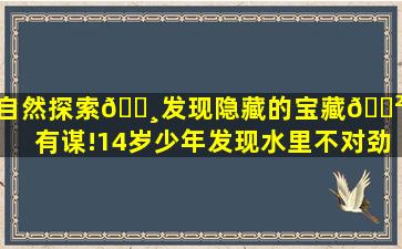 自然探索🌸发现隐藏的宝藏🌲有勇有谋!14岁少年发现水里不对劲...