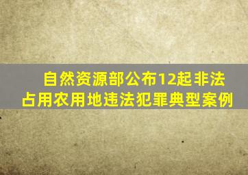 自然资源部公布12起非法占用农用地违法犯罪典型案例