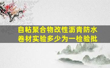 自粘聚合物改性沥青防水卷材实验多少为一检验批