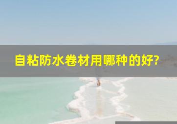 自粘防水卷材用哪种的好?