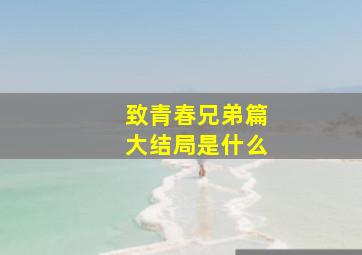 致青春兄弟篇大结局是什么