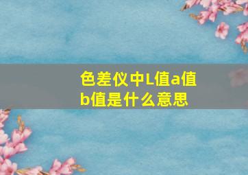 色差仪中L值a值b值是什么意思 