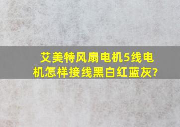 艾美特风扇电机,5线电机怎样接线(黑白红蓝灰)?