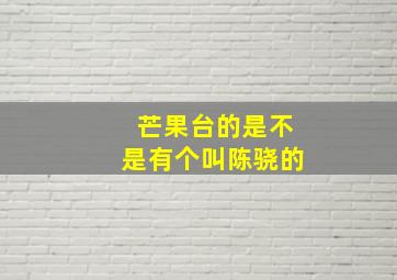 芒果台的是不是有个叫陈骁的