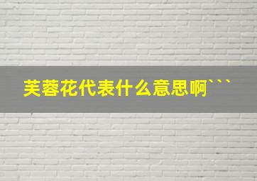 芙蓉花代表什么意思啊```