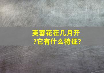 芙蓉花在几月开?它有什么特征?