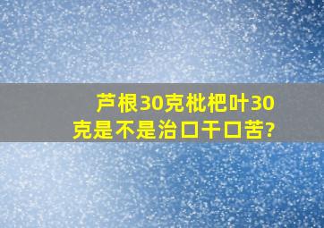 芦根30克,枇杷叶30克。是不是治口干口苦?