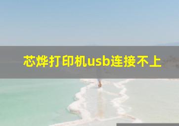 芯烨打印机usb连接不上