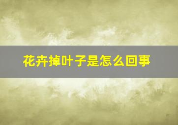 花卉掉叶子是怎么回事