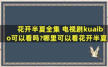 花开半夏全集 电视剧kuaibo可以看吗?哪里可以看花开半夏全集