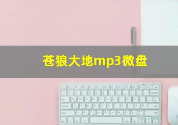 苍狼大地mp3微盘