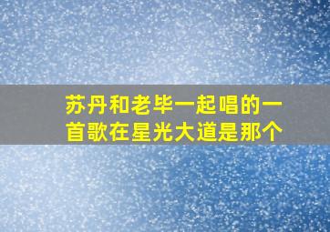 苏丹和老毕一起唱的一首歌在星光大道是那个