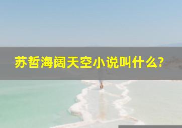 苏哲海阔天空小说叫什么?