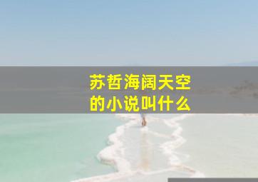 苏哲海阔天空的小说叫什么