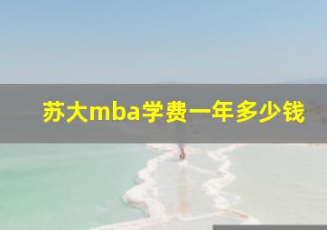 苏大mba学费一年多少钱