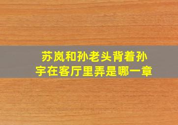 苏岚和孙老头背着孙宇在客厅里弄是哪一章