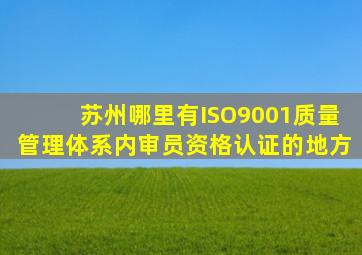 苏州哪里有ISO9001质量管理体系内审员资格认证的地方