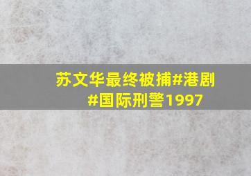 苏文华最终被捕#港剧 #国际刑警1997 