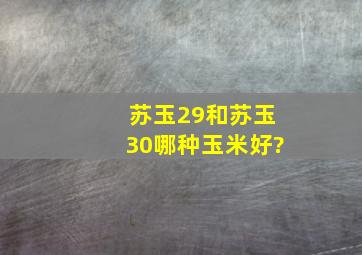 苏玉29和苏玉30哪种玉米好?