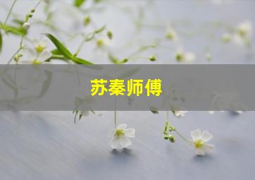 苏秦师傅(