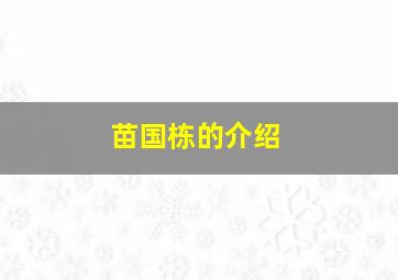 苗国栋的介绍