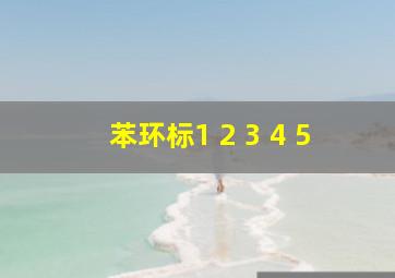 苯环标1 2 3 4 5