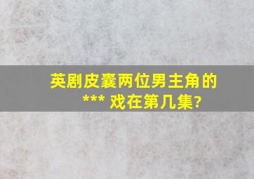 英剧《皮囊》两位男主角的 *** 戏在第几集?